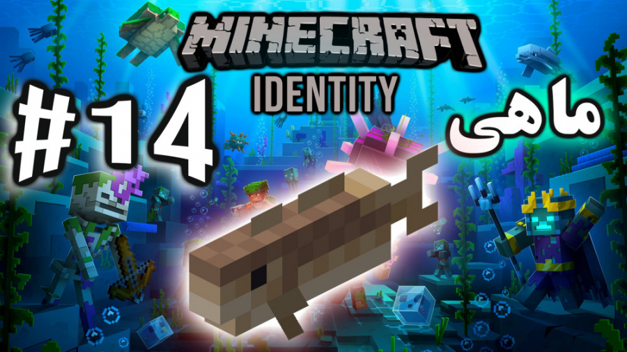 ARIANEO  Game  Minecraft Ident...