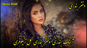 آهنگ شاد دختر بندری گل نیلوفری...