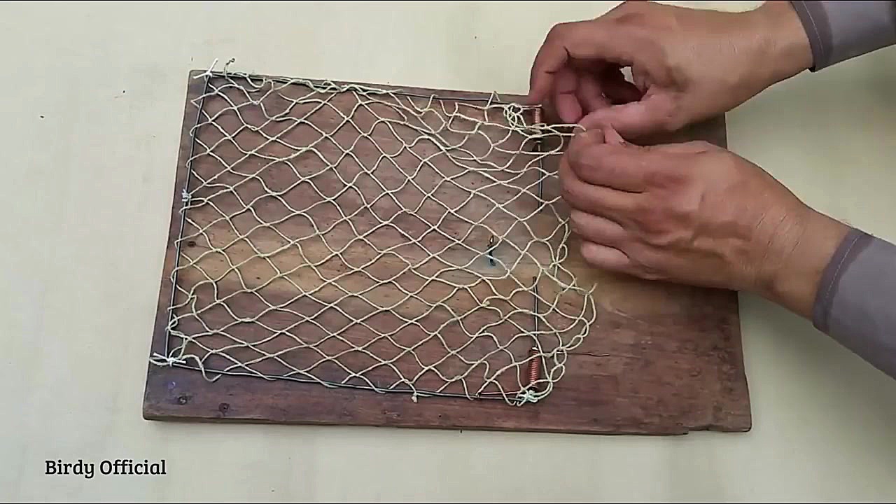 تله بلبل خرما و سهره و گنجشک