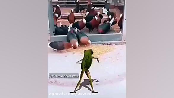 سلام اسم من حسین است این فیلمو...