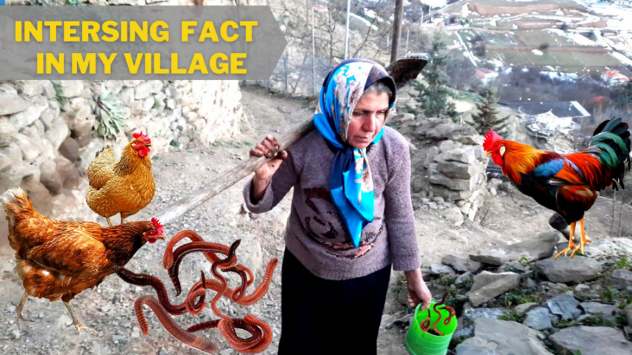 زندگی مادر روستایی در شمال کشو...