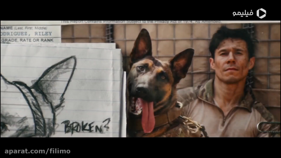 تریلر فیلم سگ Dog 2022