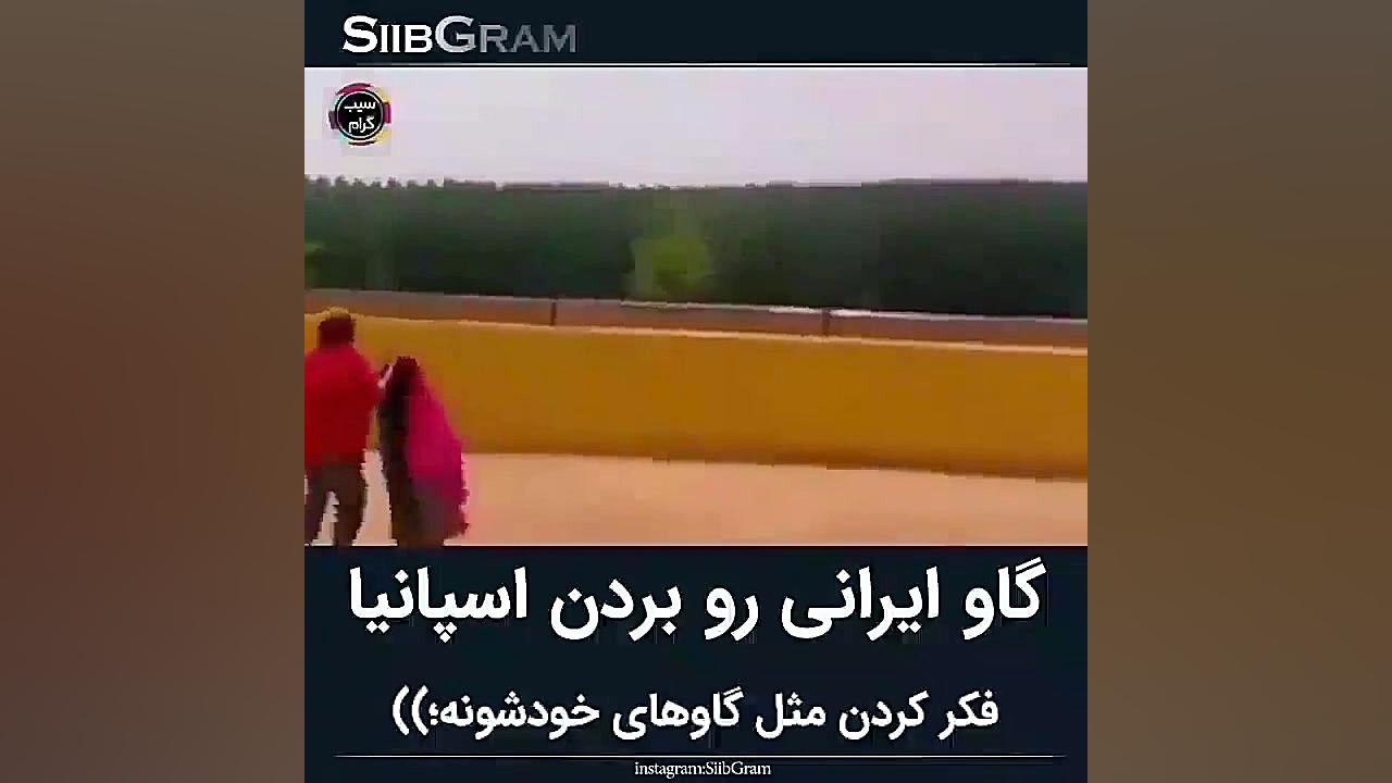 شانس آورد نمرد