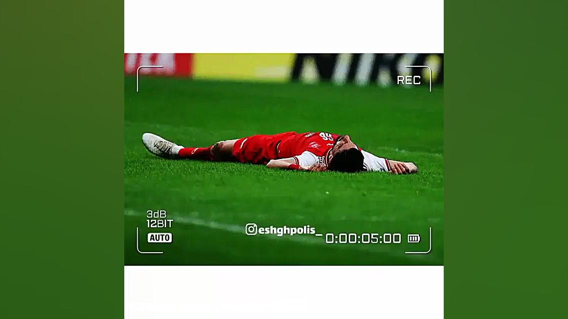 هرچی زخمی تر من وحشی تر می شک