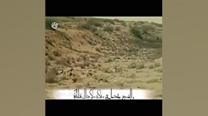شهدا