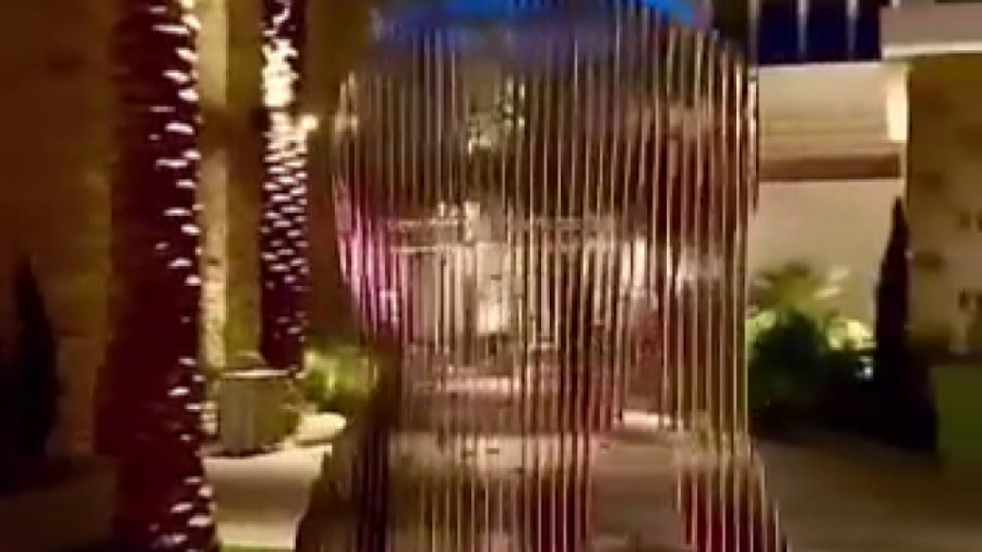 مجسمه ی که ناپدید میشود