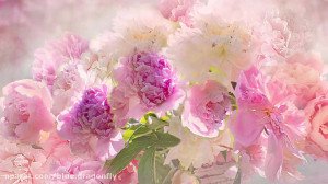 کلیپ تبریک روز پدر  آهنگ پدر...