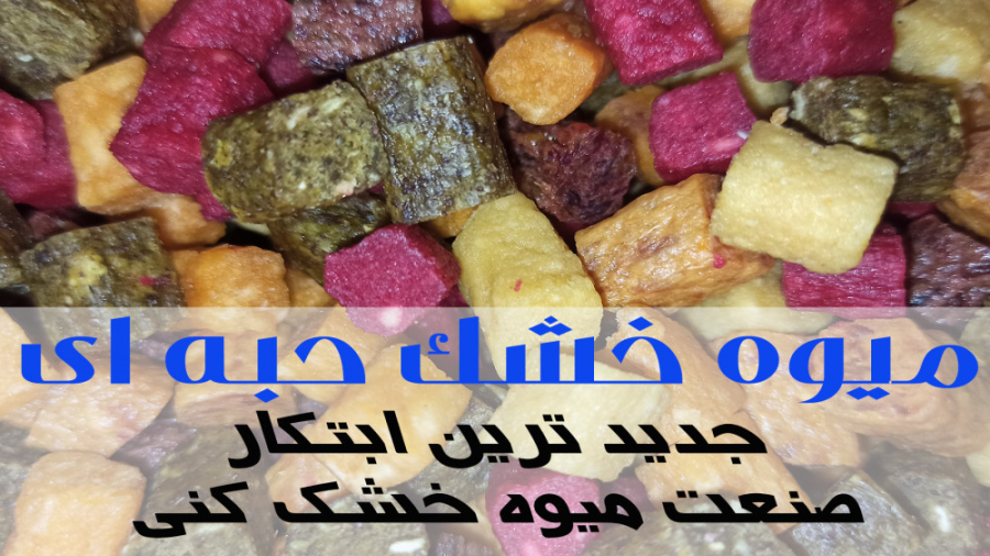 میوه خشک حبه ای  ابتکار صنعت م...