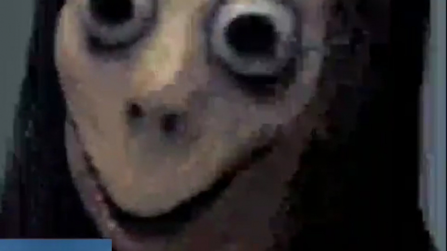 پارت 2 تماس تصویری با مومو!!!