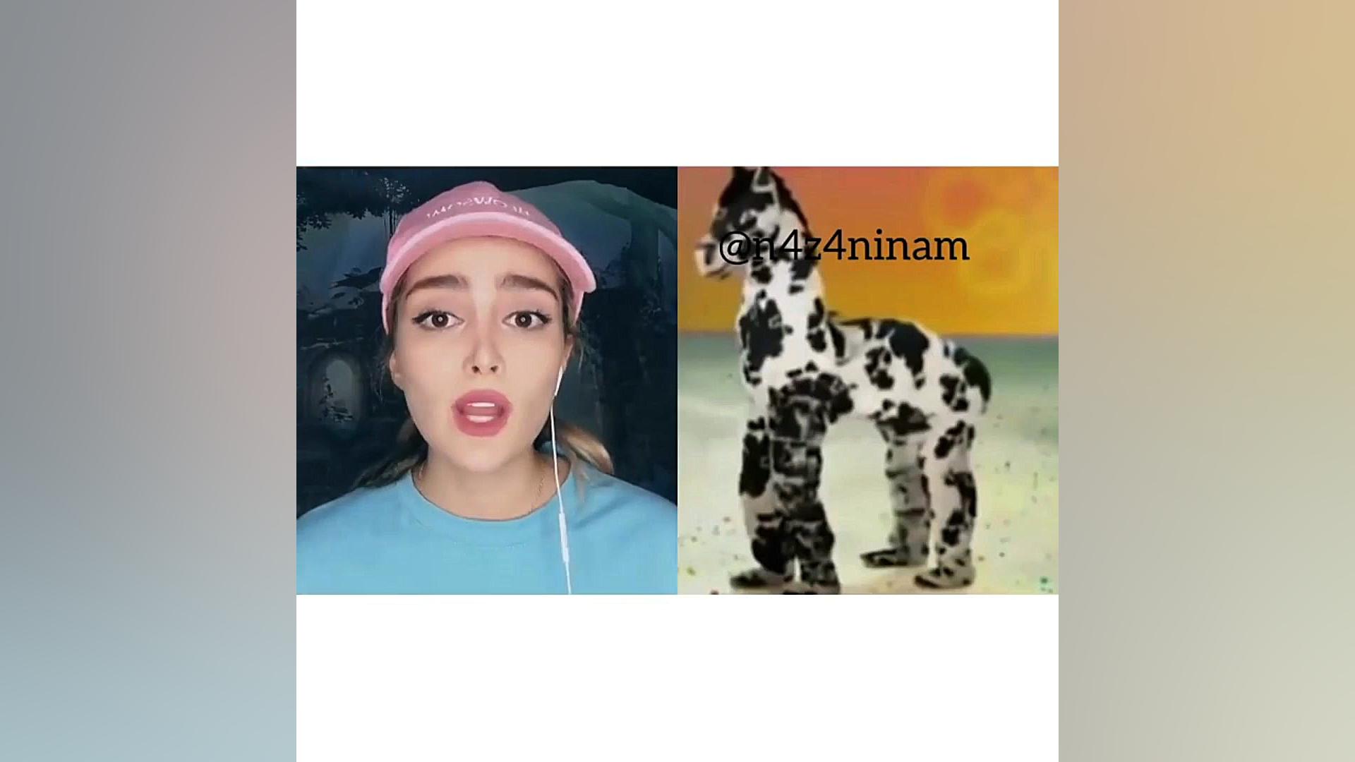 تئوری باب اسفنجی از نازنین پار...