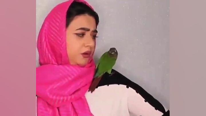 جک های سرنا امنی