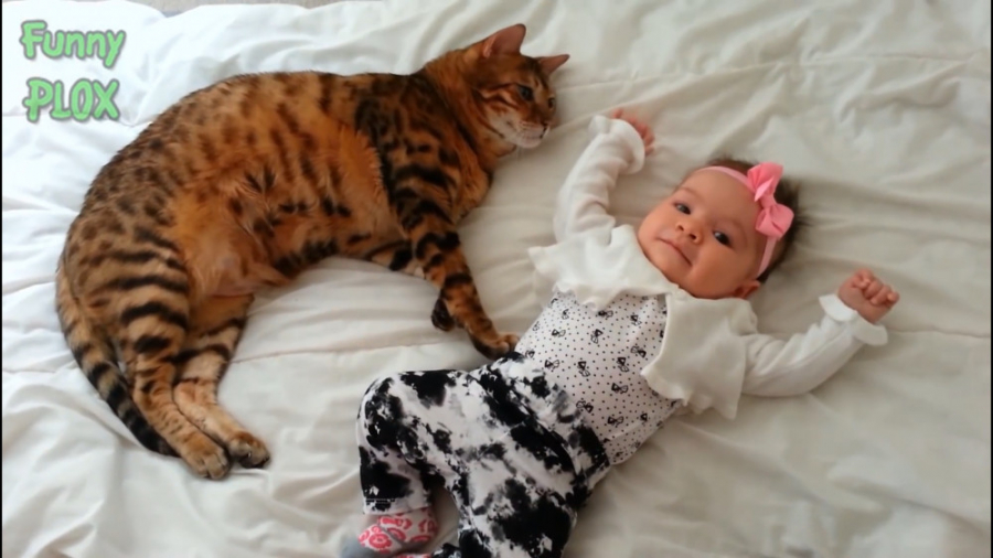 بازی کودکان و بچه نینی های بام...