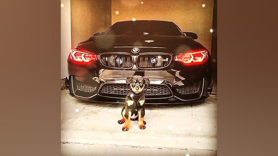 کلیپ خفن ماشین  آهنگ وچنو  دان...