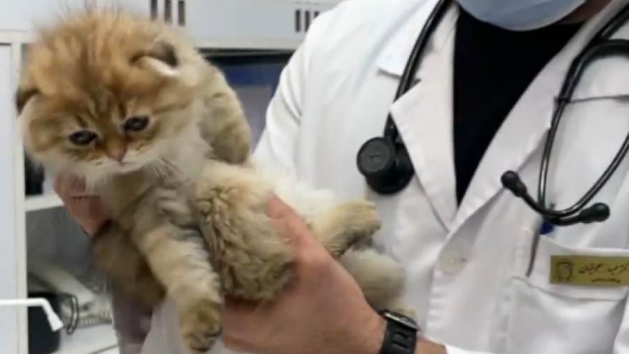 معاینه و آمپول زدن به یک بچه گ...