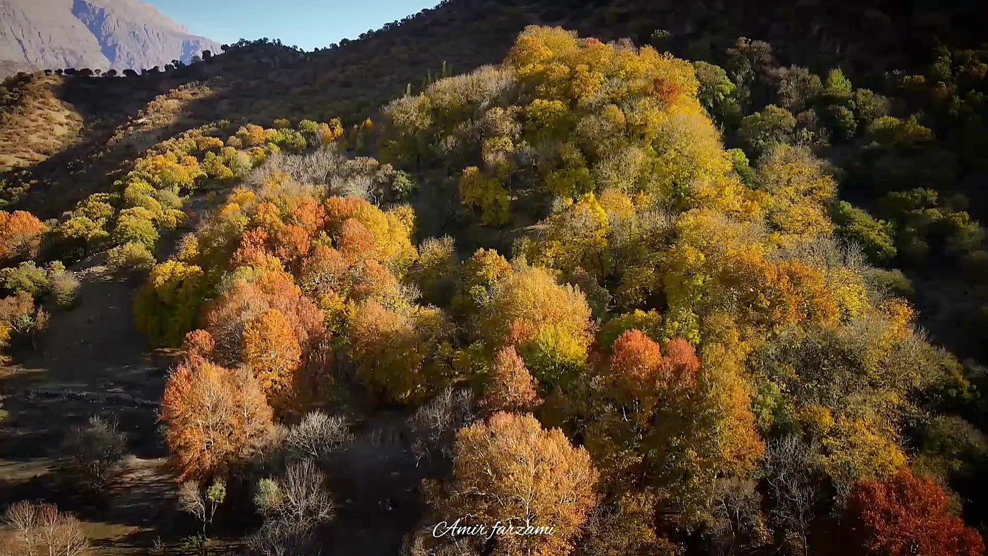 بیشه پیرتو – گوشه‌ای آرام از طبیعت لرستان