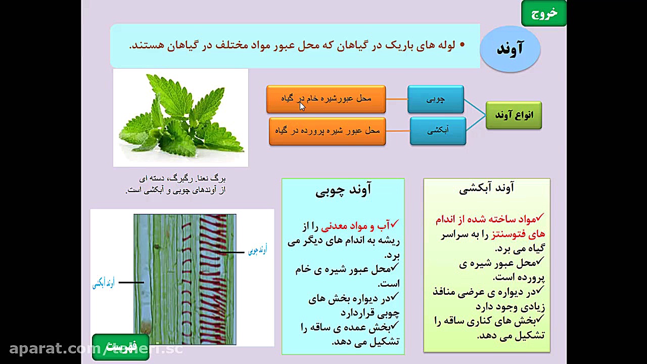 فصل 12 دنیای گیاهان قسمت اول