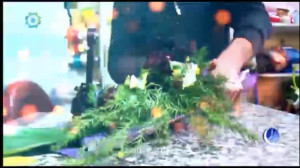 آتالار گونو مبارک اولسون  تبری...