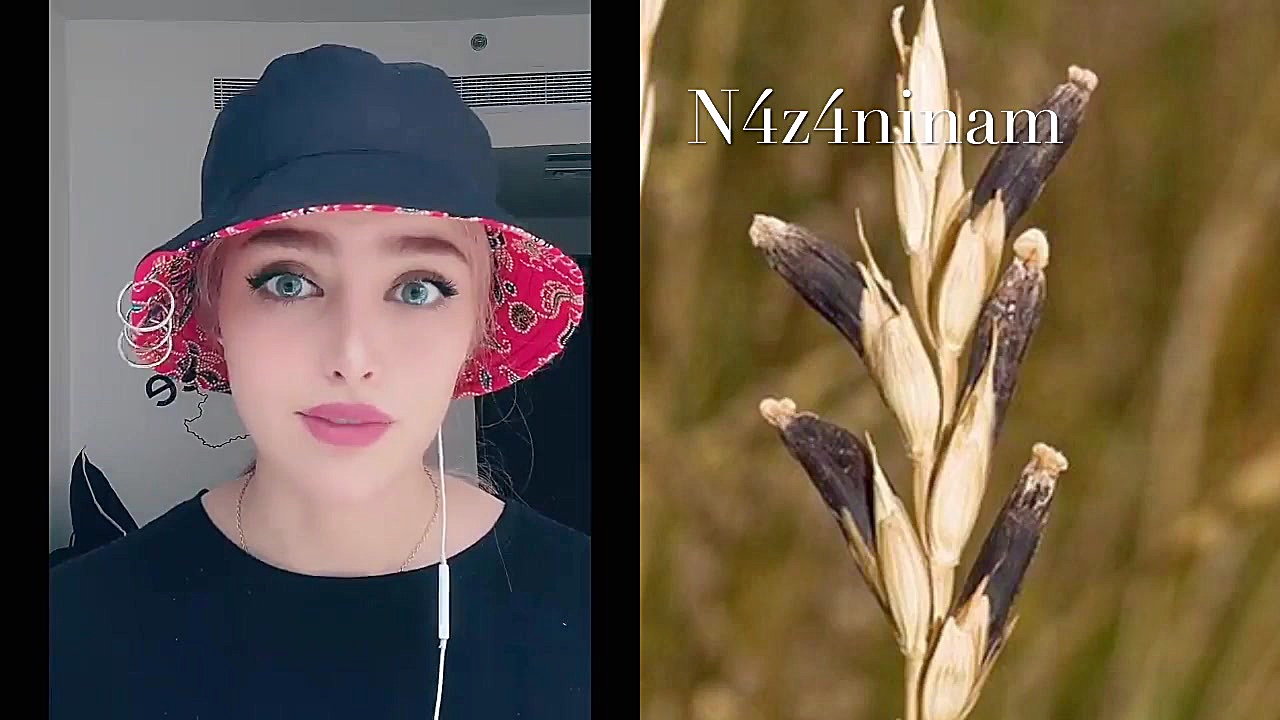 تئوری ( جادوگر های واقعی ) از...