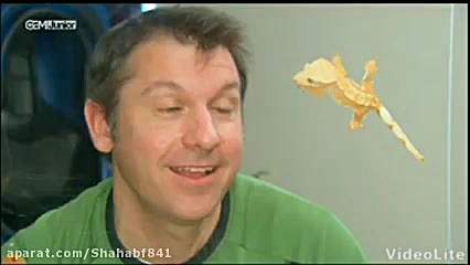 حیات وحش با کریس و مارتین قسمت...