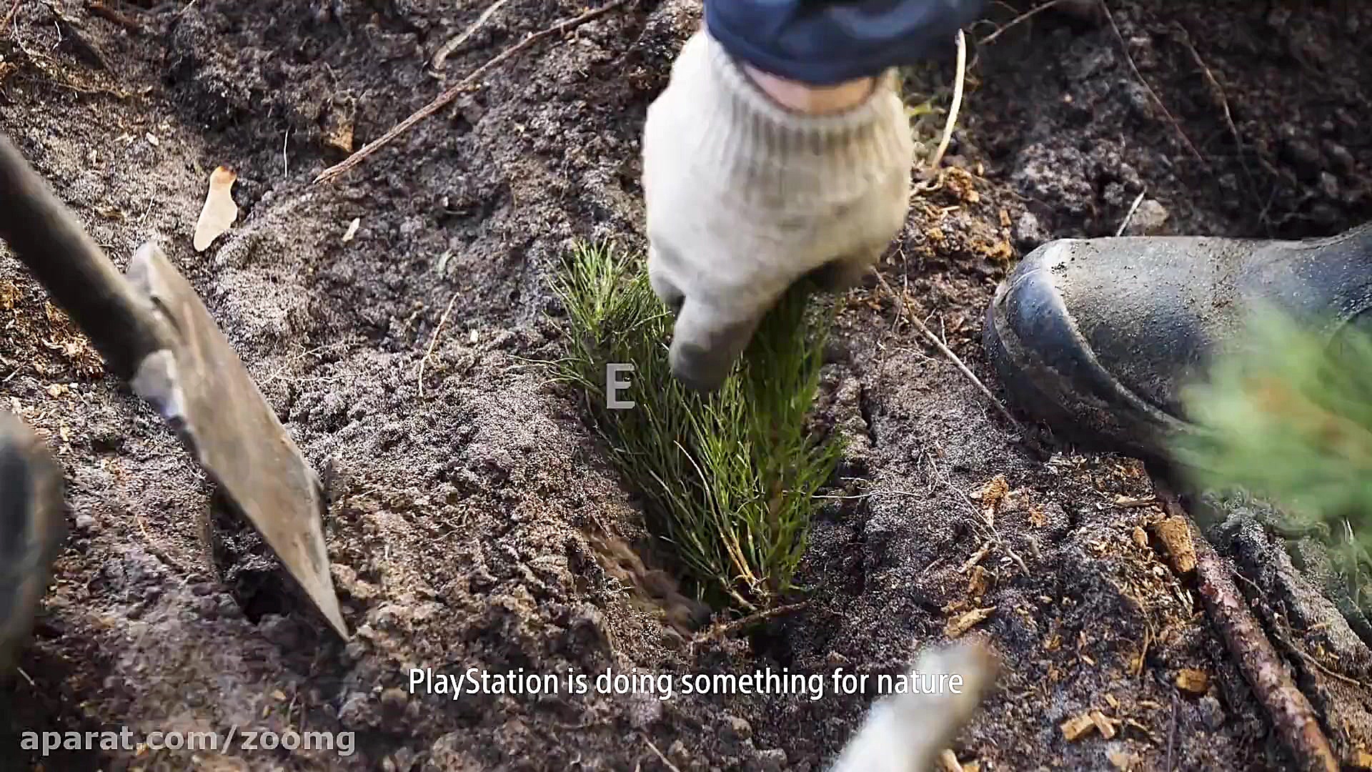 کاشت درخت توسط سونی برای بازسا...