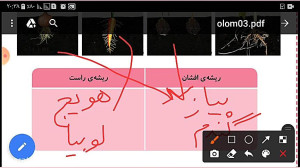 علوم سوم فصل 11 قسمت اول