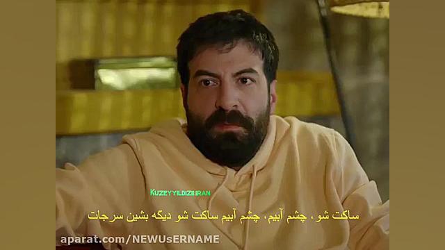 ستاره شمالی