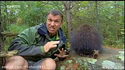 حیات وحش با کریس و مارتین قسمت...