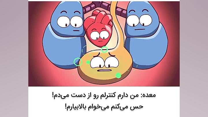 تاثیر بارداری بر اعضای بدن ماد...