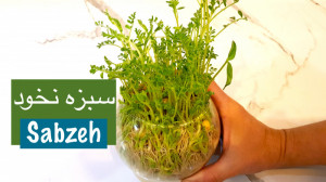 سبزه نخود در تنگ ماهی و ظروف د...
