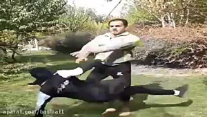 چه کسی باید جلوی این بی ناموسی...