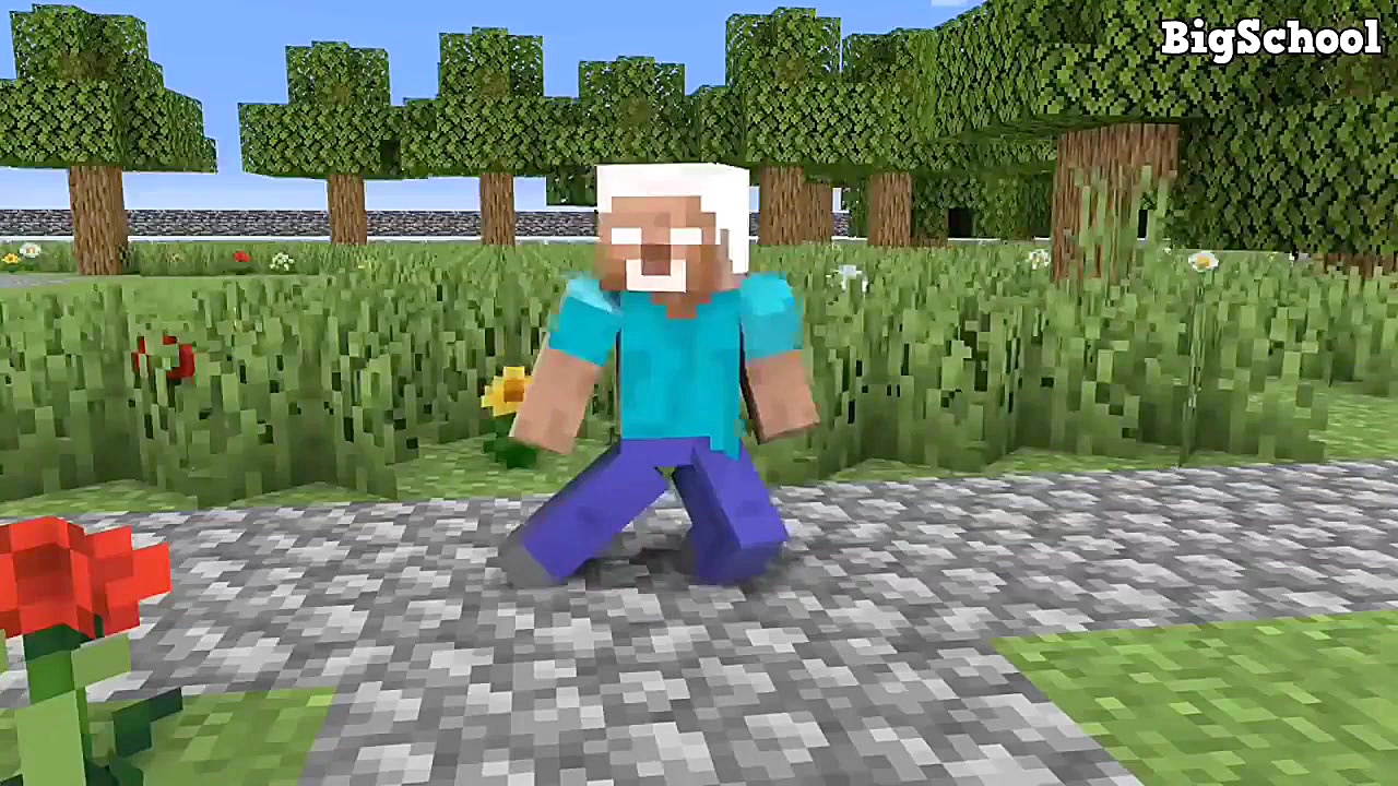 انیمیشن ماینکرافت