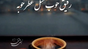 کلیپ استوری زیبا برای رفیق ::...