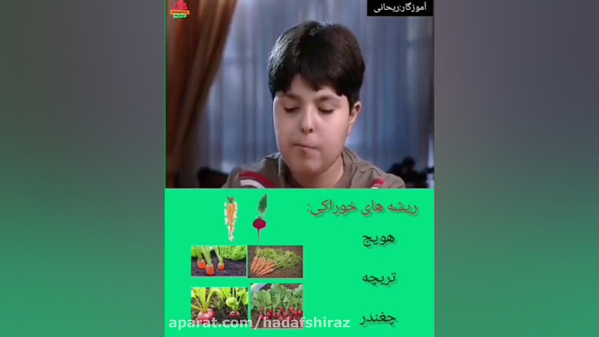 علوم سوم:فصل 11 قسمت اول