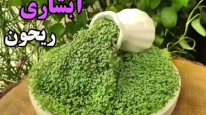 سبزه آبشاری ریحون برای سفره هف...