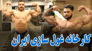 فیت 279  با این گرونی چجوری بد...