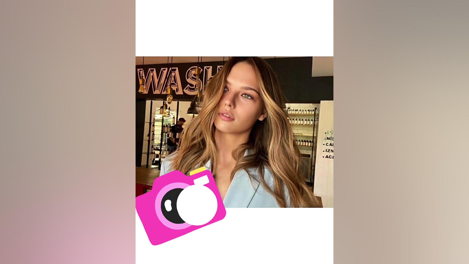 ستاره شمالی