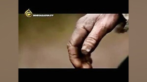 عدم حمایت از تولید داخلی یعنی...