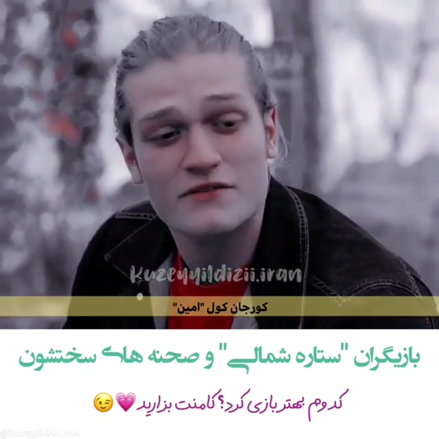 ستاره شمالی