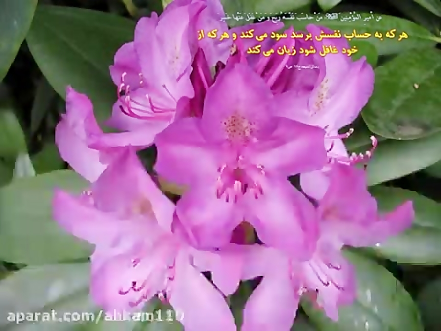 آیا پسر و دختر می توانند خودشا...