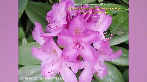 آیا پسر و دختر می توانند خودشا...