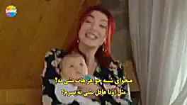 ستاره شمالی