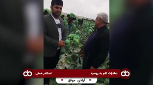 صادرات دو کانتینر کلم به روسیه...
