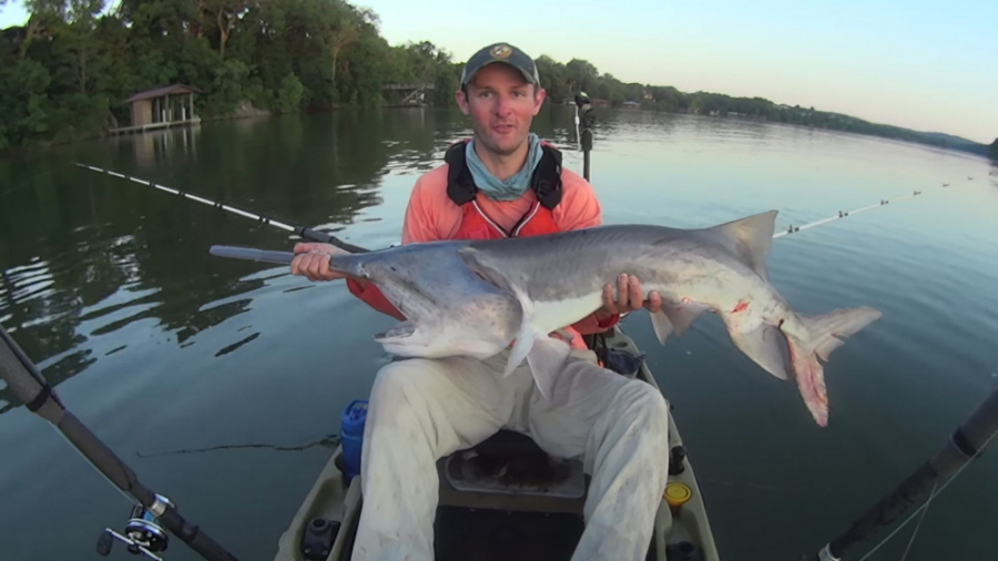 ماهی پوزه&zwnj;پارویی آمریکایی