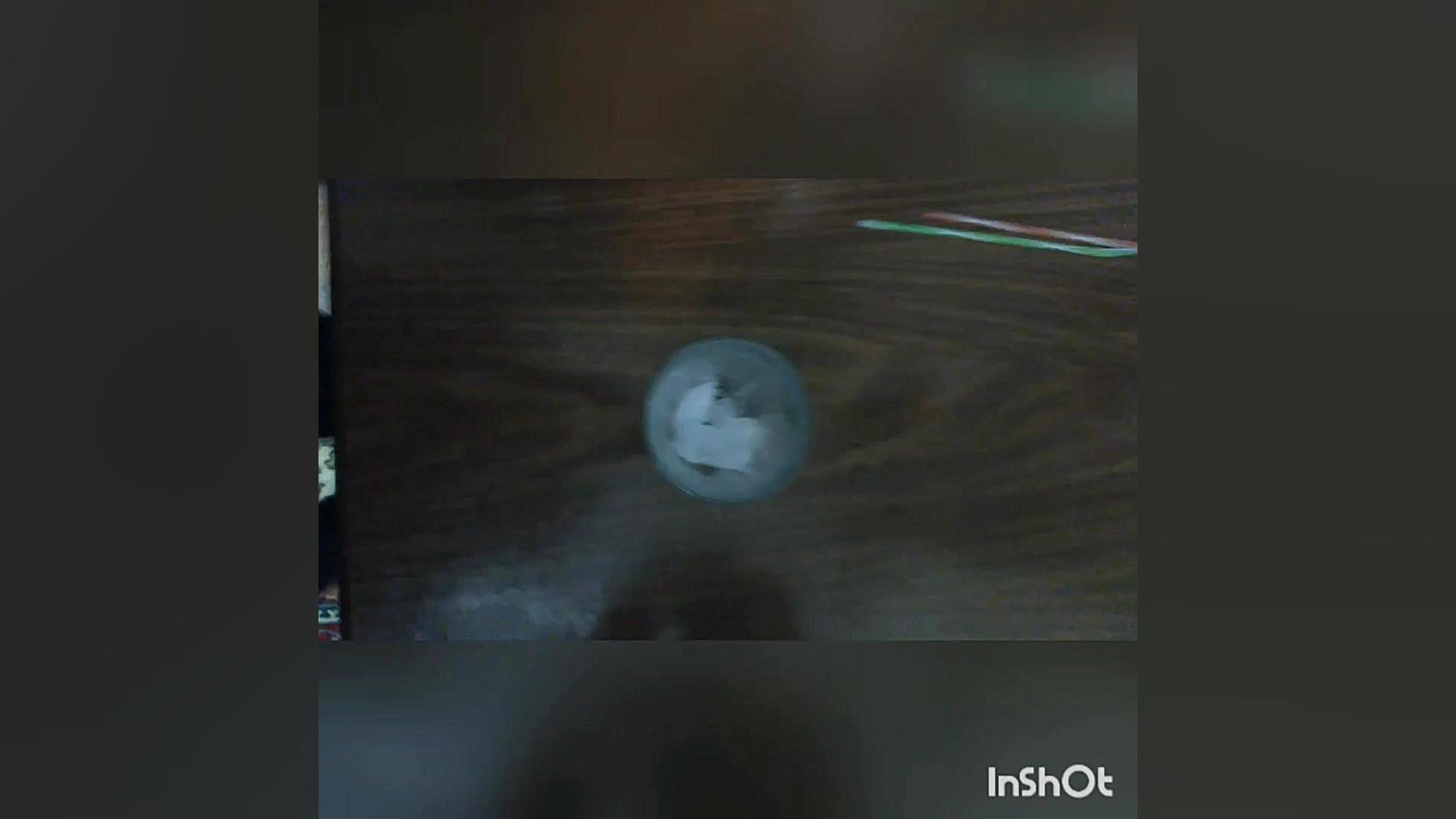 فرق فیلم های کیوت ایرانی با خا...