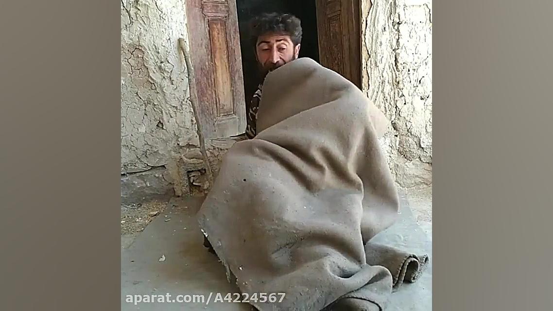 گوسفنداشو دزدین