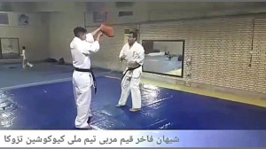 شیهان فاخر قیم کاکاتو گری اورو...