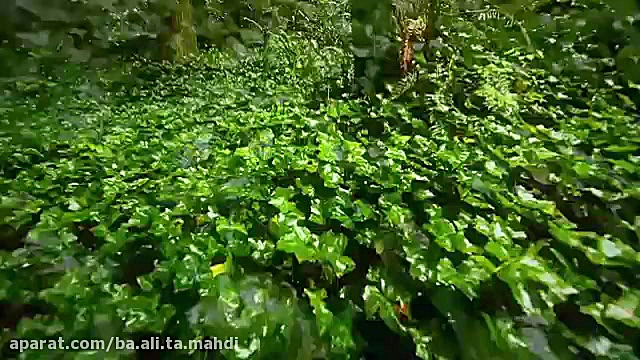 سهم روز چهل وششم : از حکمت ۴۳۶...