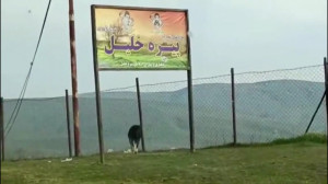 آمادگی برای عهد خدمت