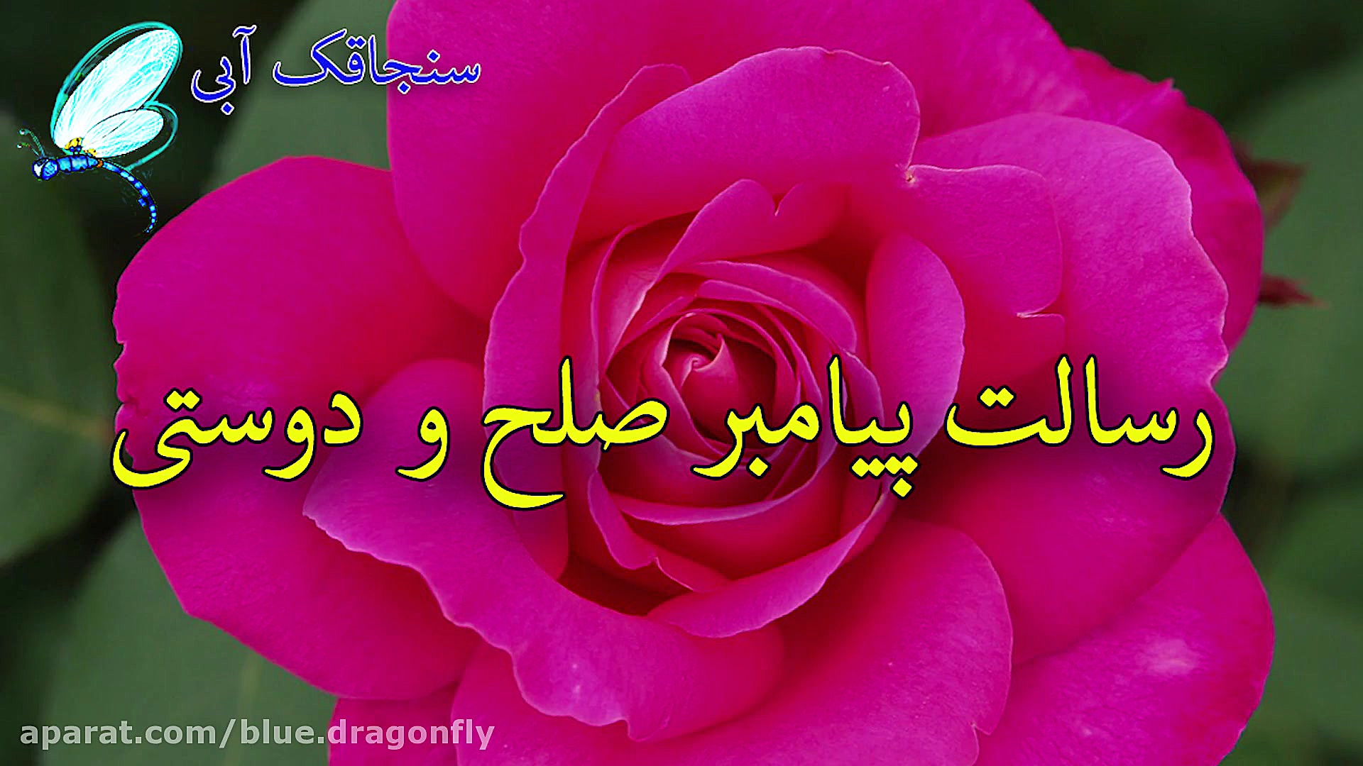 کلیپ تبریک عید مبعث  کلیپ عید...