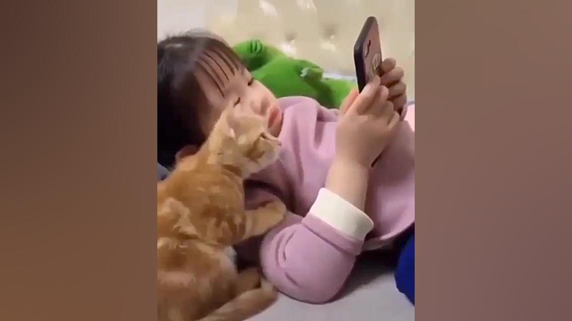 گربه متعجب و کنجکاو